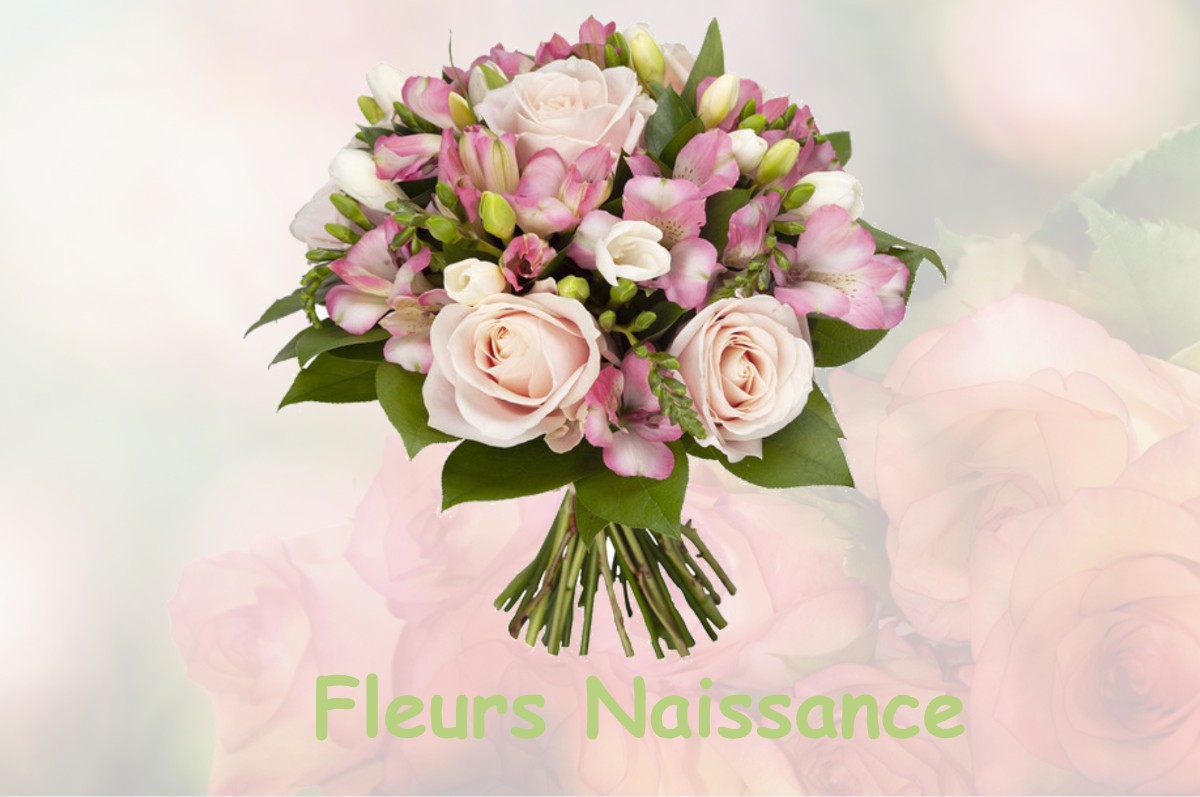 fleurs naissance ANDILLY