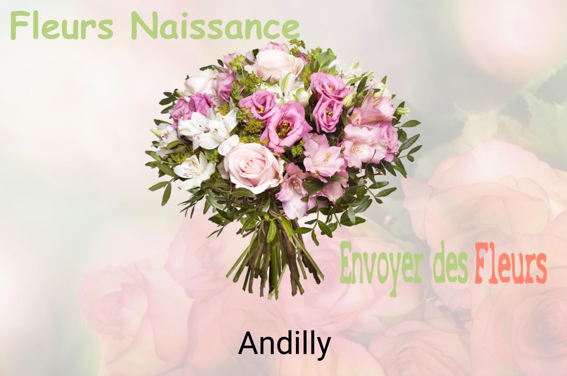 Bouquet de fleurs de naissance livré à Andilly